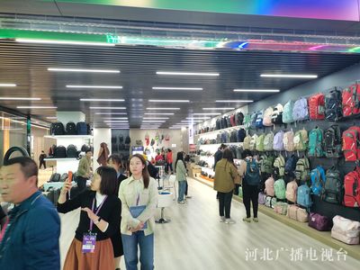 創新驅動與全球視野 2023中國·白溝國際箱包博覽會開幕紀實
